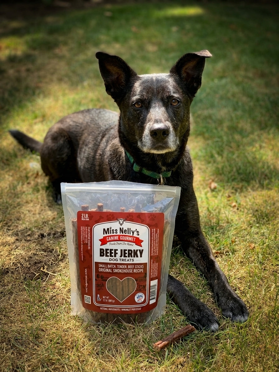 Walter with Miss Nelly's Jerky Treats