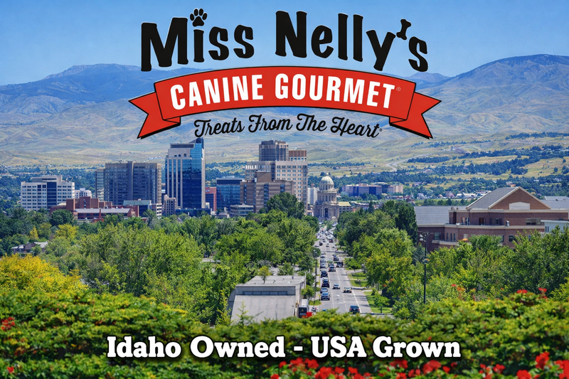 Boise Cityscape with 'Miss Nelly's Canine Gourmet' branding and text about Idaho ownership and USA growth.