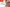 Gift card for Miss Nelly's Canine Gourmet with treats and a present on a patterned background
